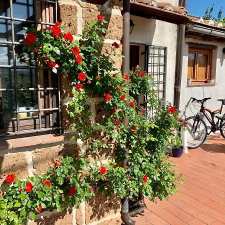 Beautiful Country House In The Umbrian Hills Tatil Evi